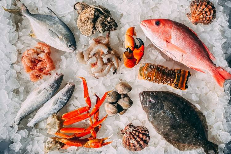Seafood on ice