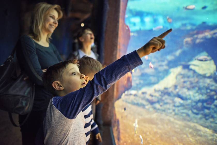 kids at an aquarium